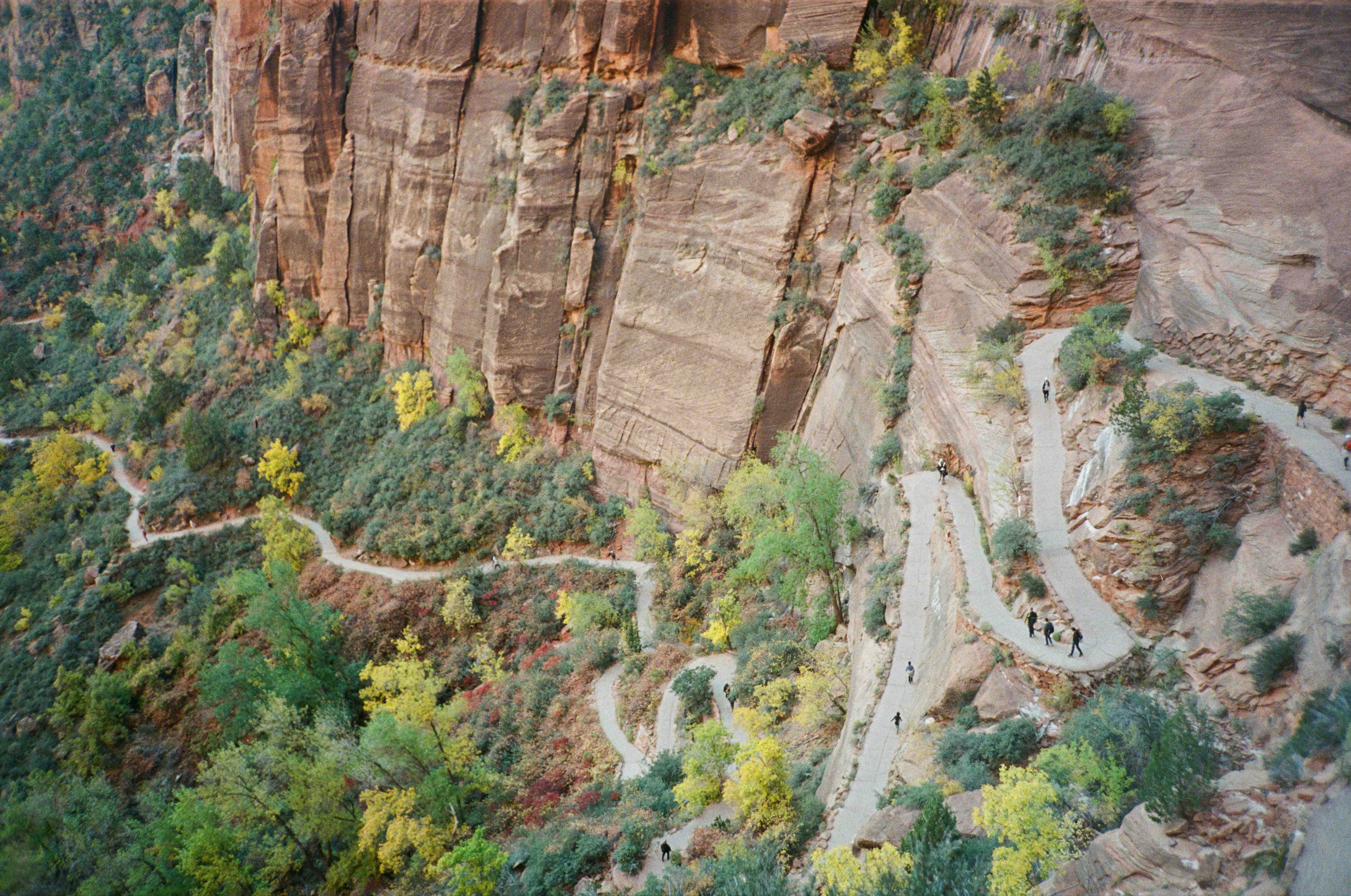 Winding hiking trail with switchbacks along a rocky cliffside surrounded by green and yellow vegetation.